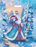Пакет ПВД 38х48, 50 мкм "Сказочный Дед Мороз" 